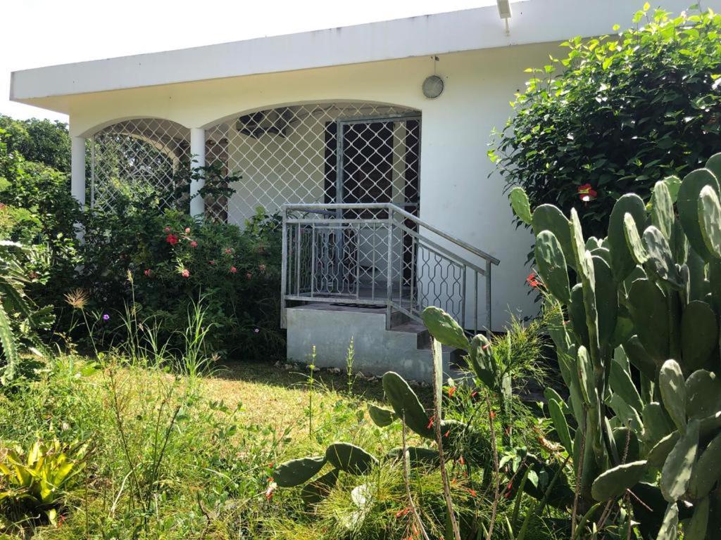 Jardin Des Anges-Bungalows Creoles Et Studio Ле-Муль Экстерьер фото