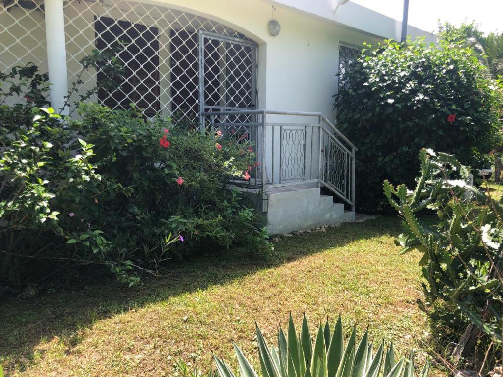 Jardin Des Anges-Bungalows Creoles Et Studio Ле-Муль Экстерьер фото