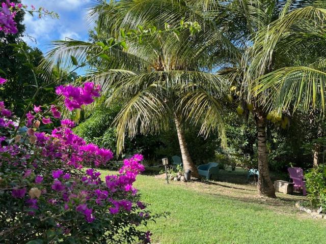 Jardin Des Anges-Bungalows Creoles Et Studio Ле-Муль Экстерьер фото